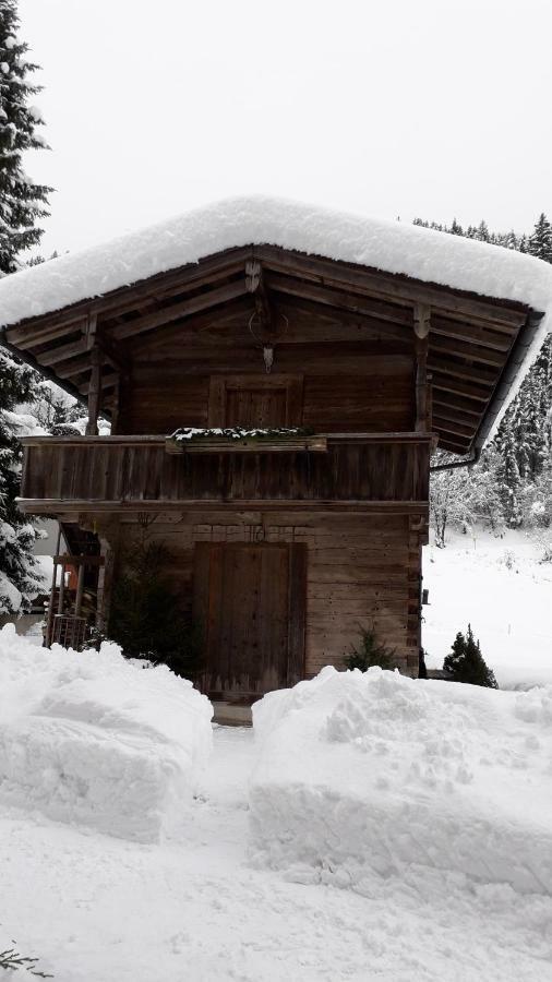 فيلا مايرهوفنفي Nieslerhof المظهر الخارجي الصورة